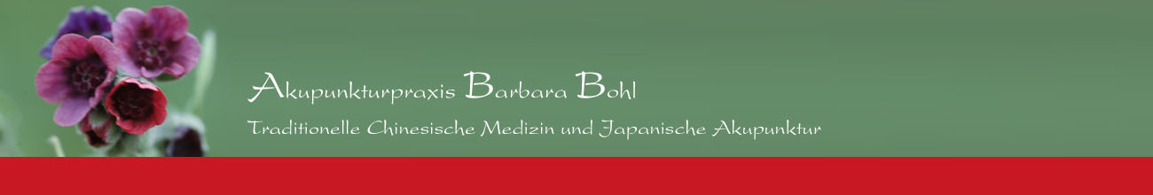 Akupunktur Berlin Mitte - Akupunkturpraxis Barbara Bohl - Traditionelle Chinesische Medizin und japanische Akupunktur